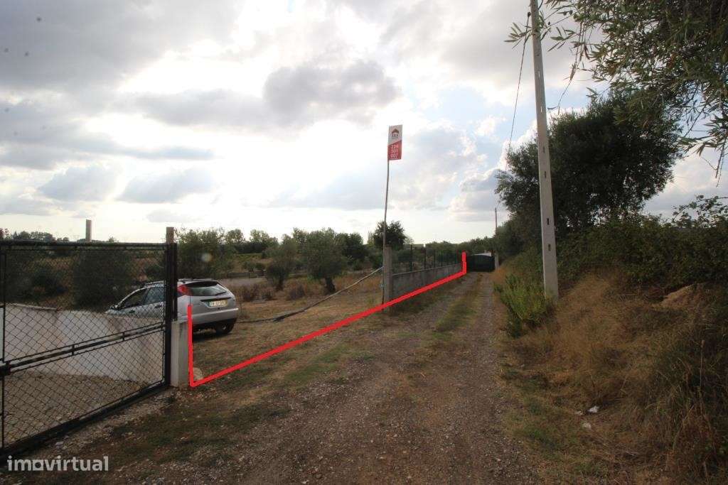 Excelente terreno com 2170m2, perto de Cernache. - Grande imagem: 4/5