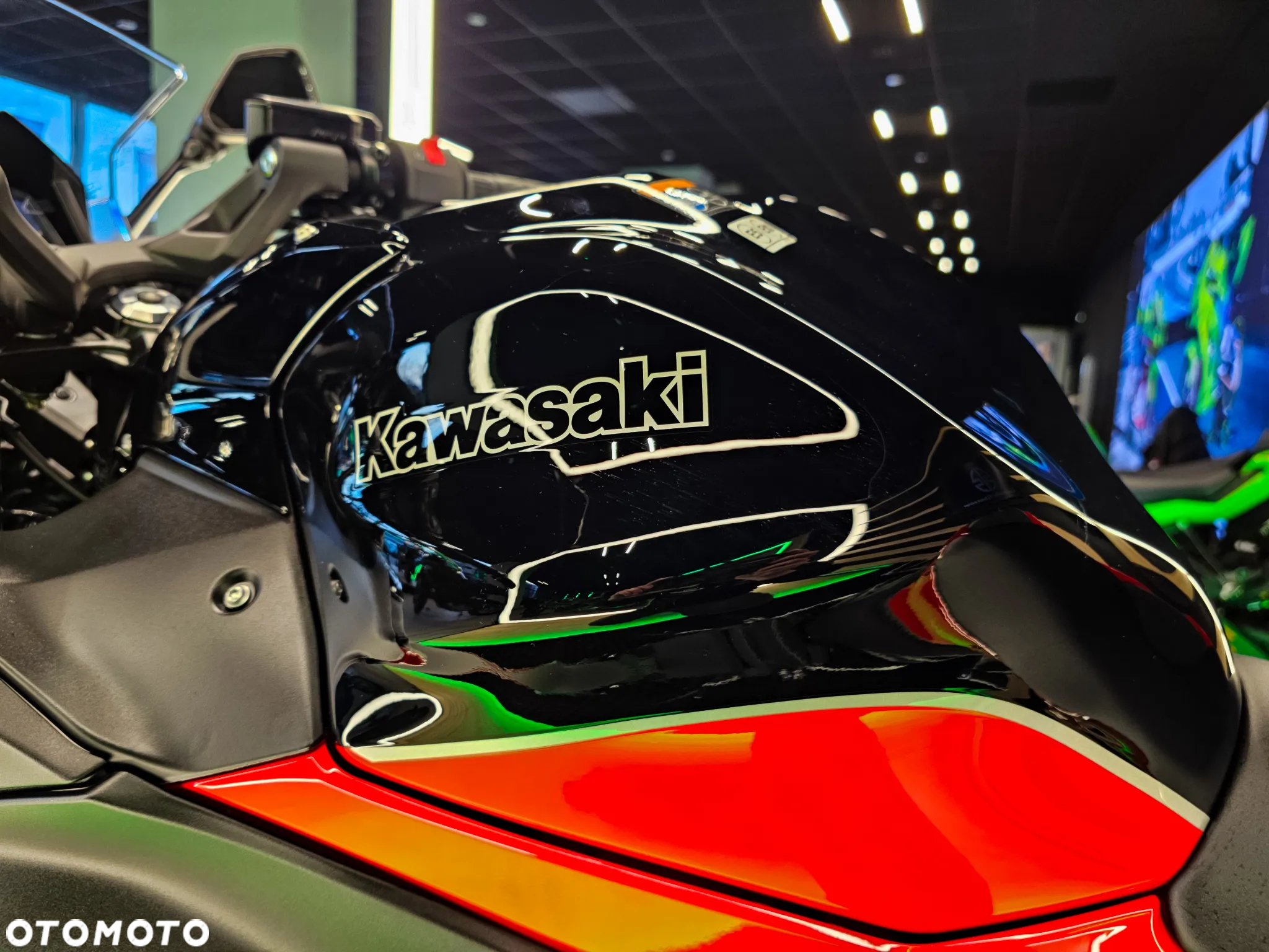 Kawasaki Ninja - 10