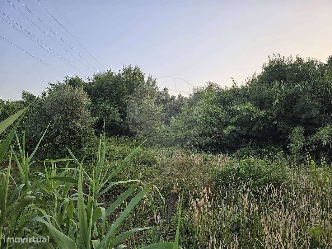 Terreno  para venda - Grande imagem: 5/7