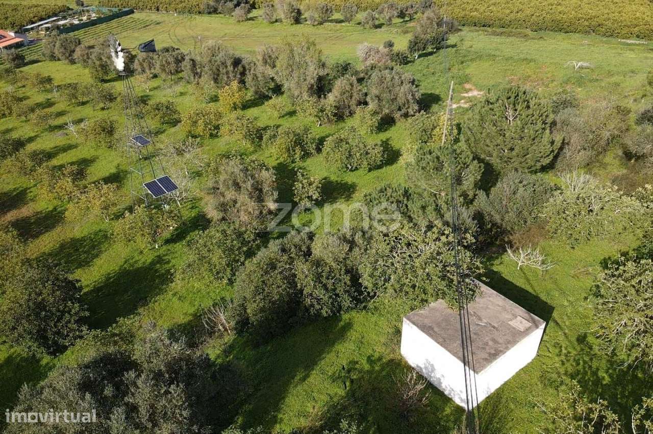 Terreno c/ Furo e Alfarrobeiras em Amorosa, Messines com 13.460m2 - Grande imagem: 4/37