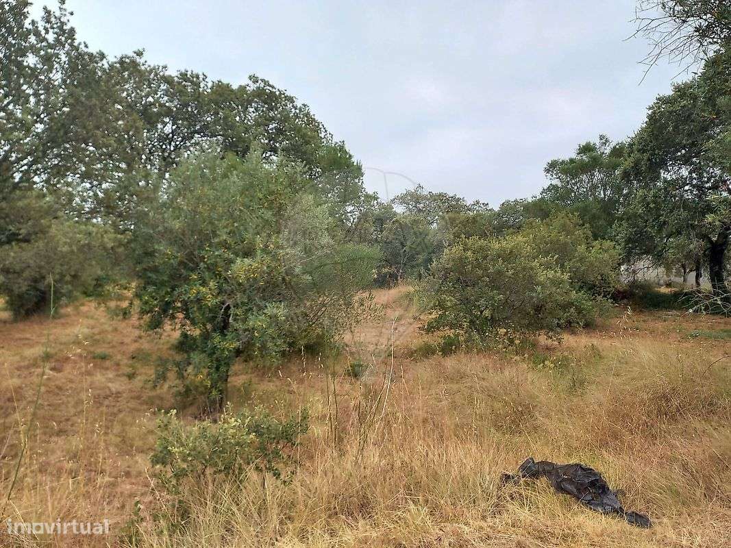 Terreno  para venda - Grande imagem: 4/4