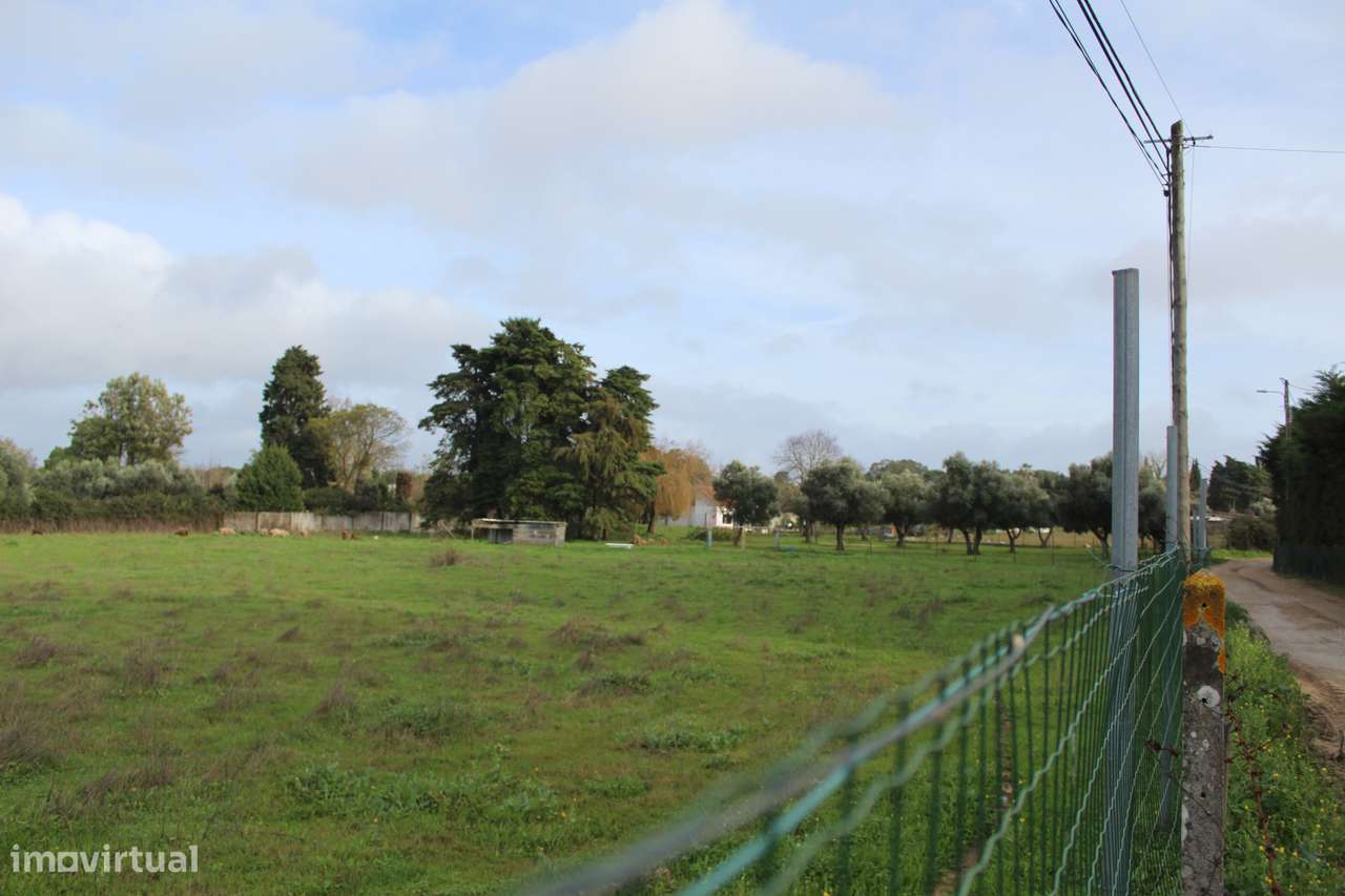 Moradia T2 com Jardim no Campo-4