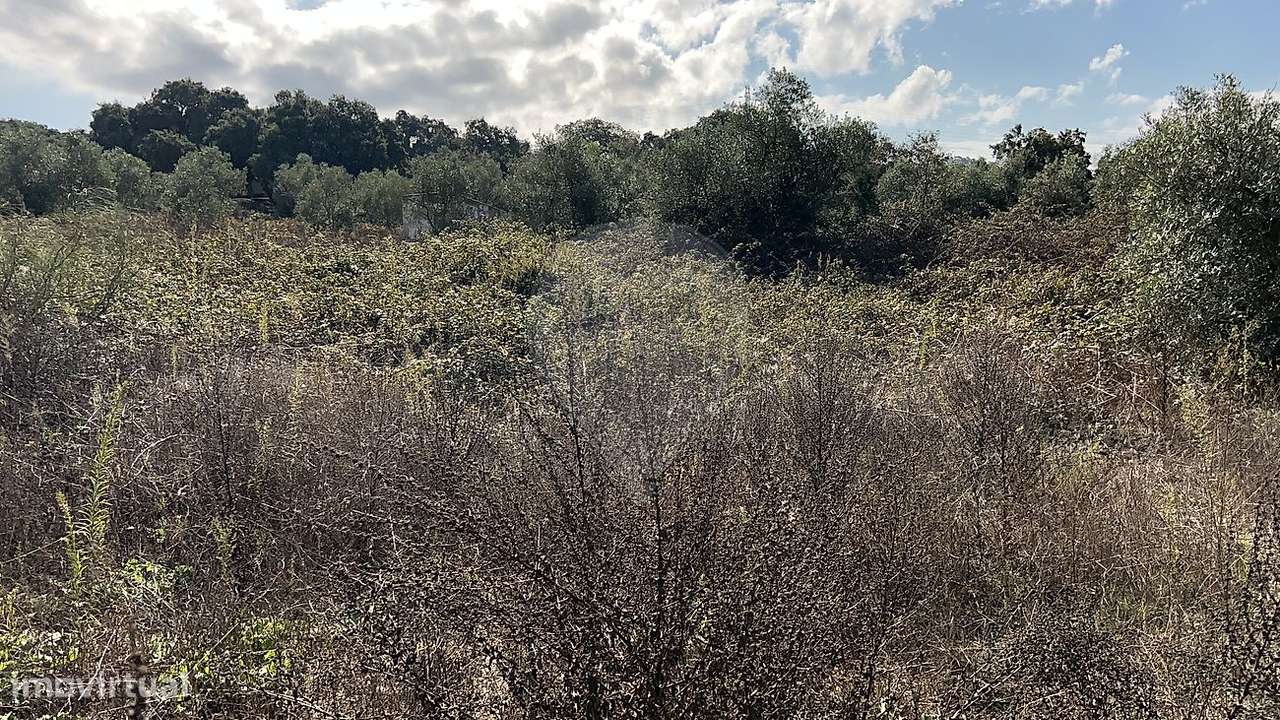 Terreno  para venda - Grande imagem: 5/21