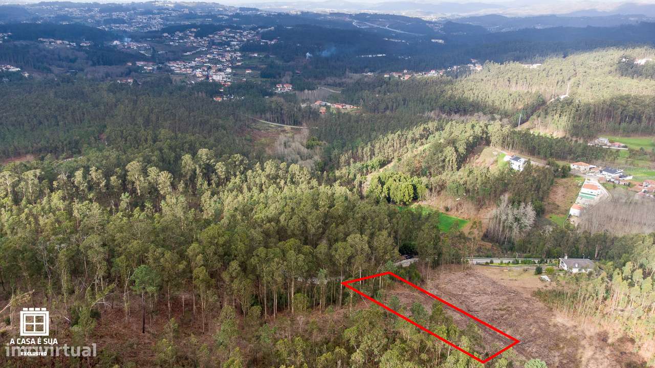Terreno com 2.000 m2 em Vila Maior, Sta. Maria da Feira-6