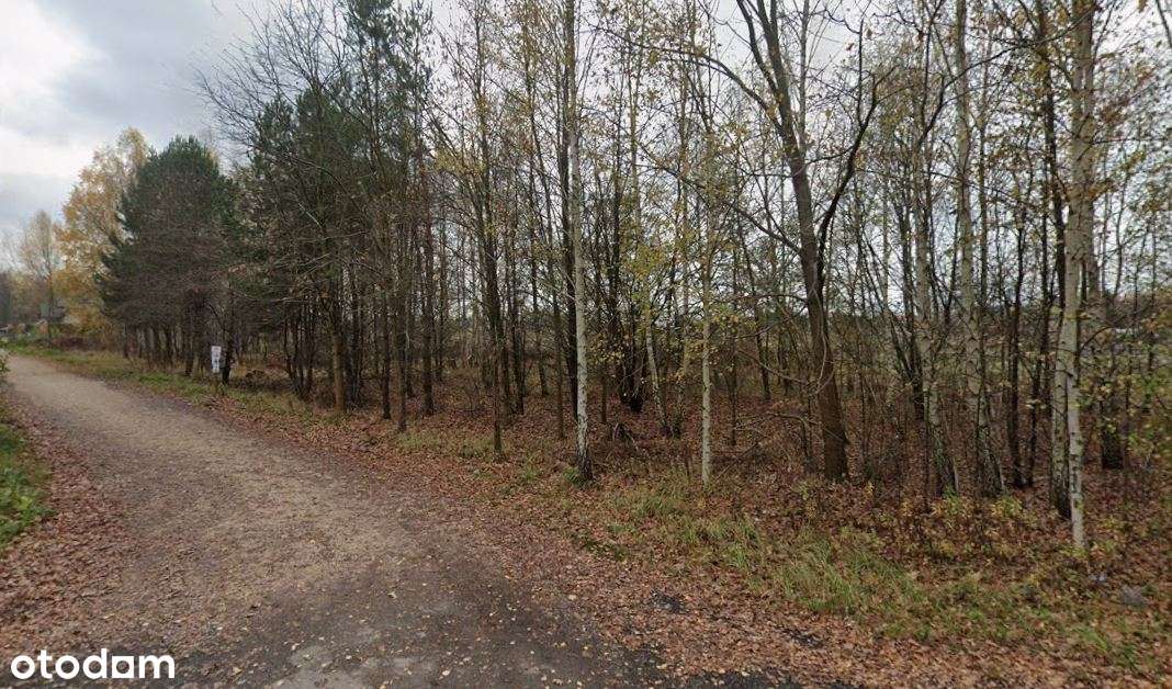 Grunt niezabudowany o łącznej pow. 8979 m kw. - Gołków, gm. Piaseczno-2