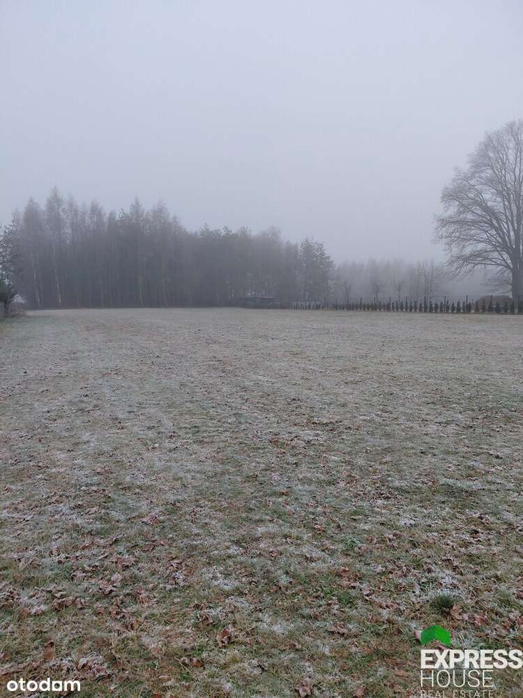 Działka 2824 m2 w Anielinie k. Łasku - Pełny obrazek: 4/9