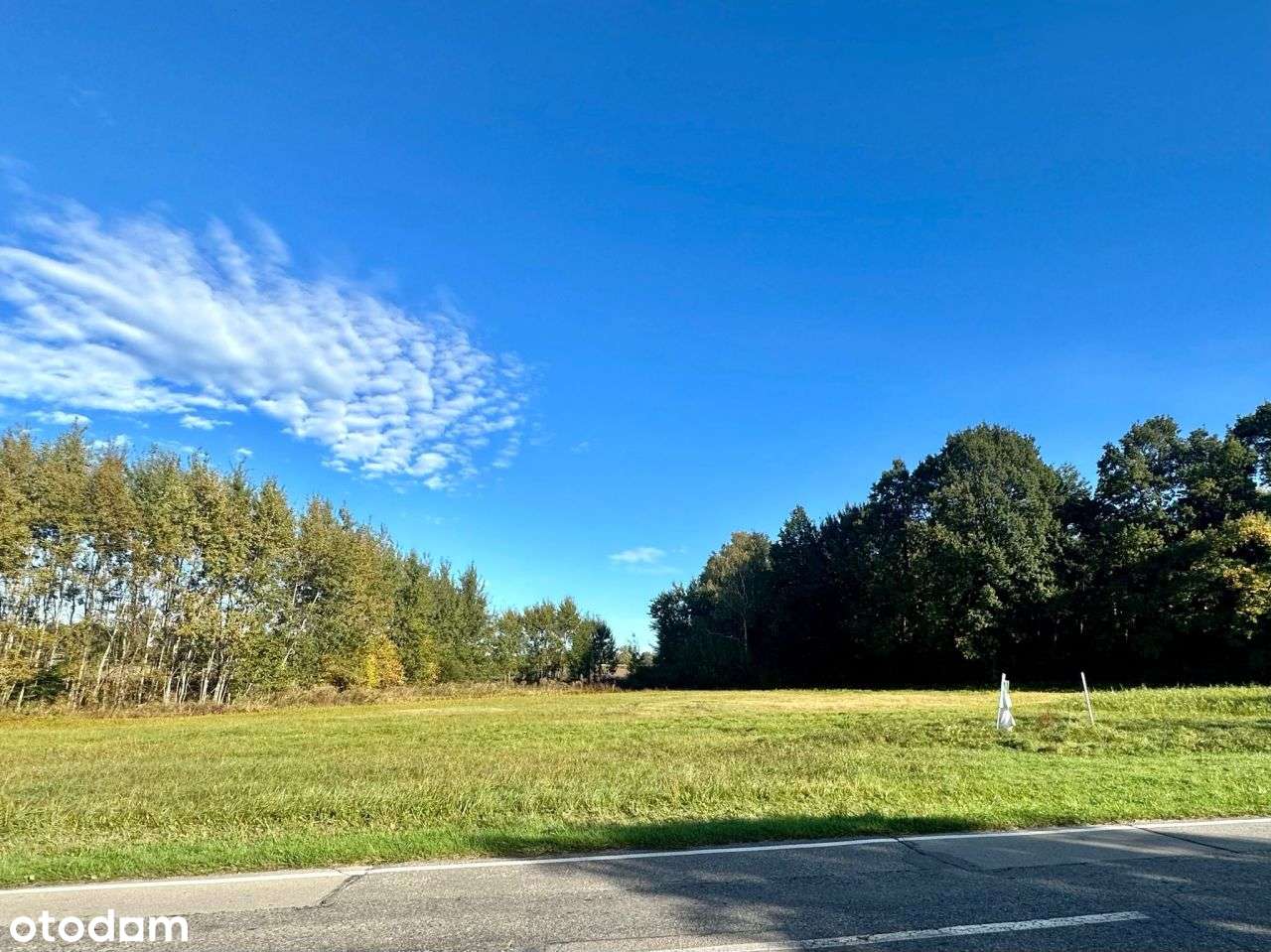 Duża działka pod lasem | 1602m2 | 399 000zł - Pełny obrazek: 4/7