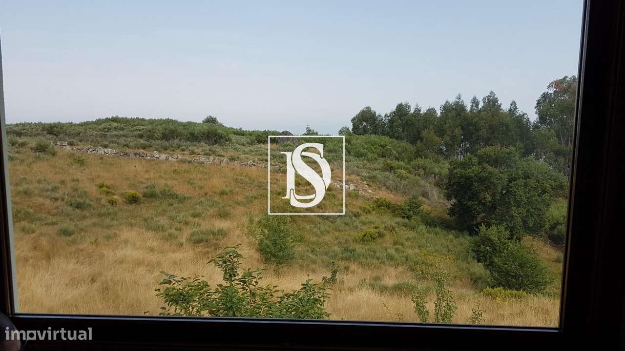 MORADIA T1 RENOVADA COM 10.000 m² – BUSTELO, AMARANTE-22