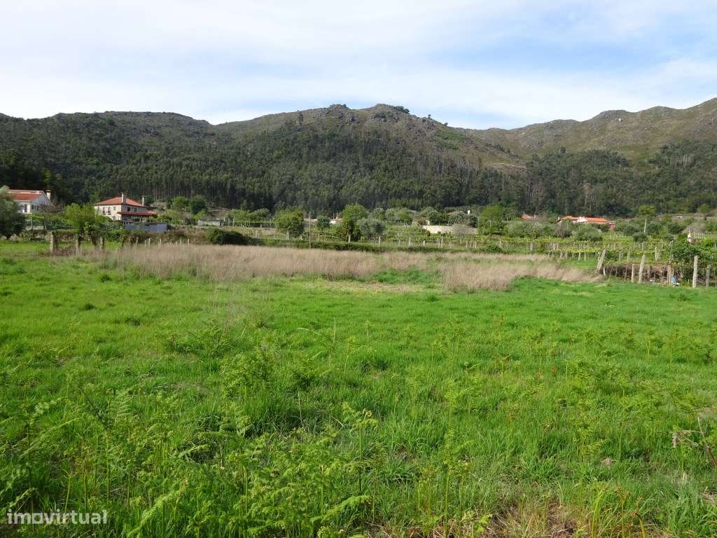 Terreno agrícola na Cabração- Ponte de Lima - Grande imagem: 3/5