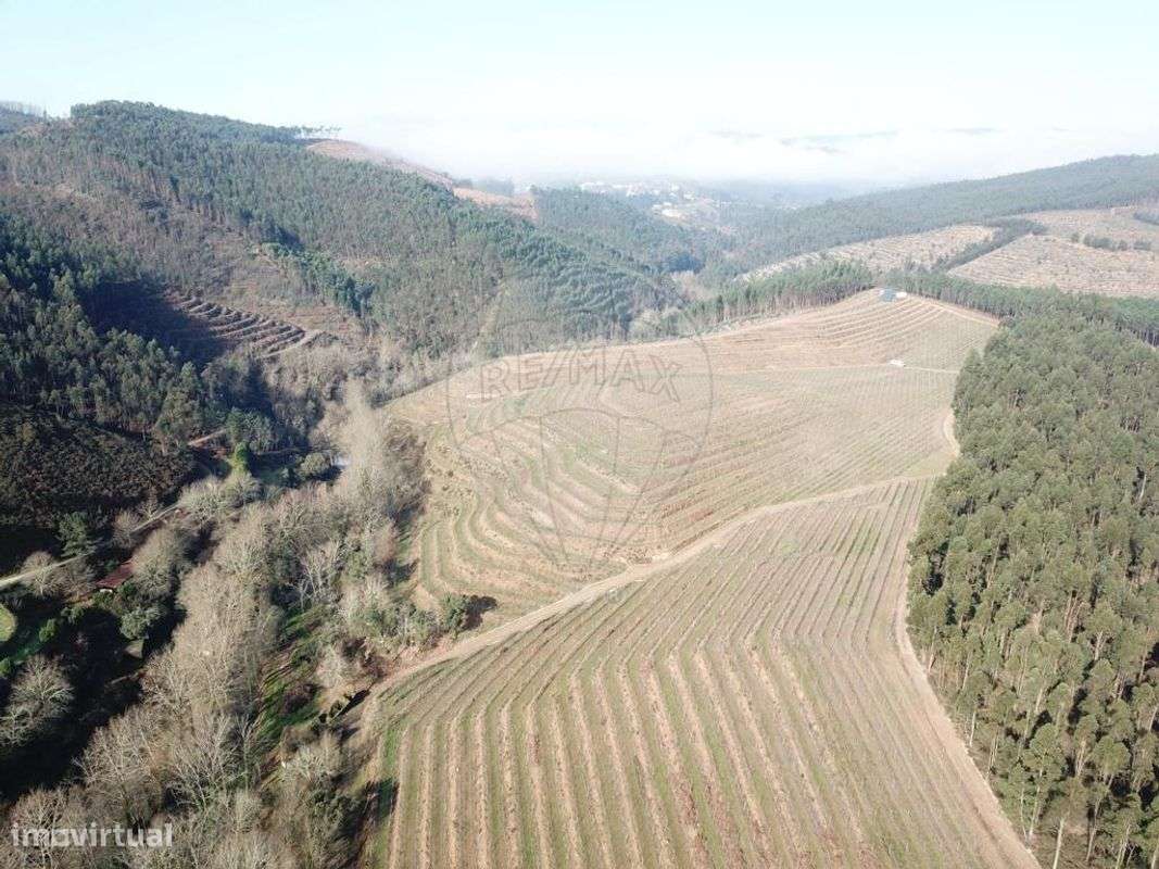 Quinta  para venda - Grande imagem: 3/9