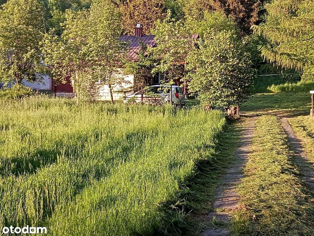 Magiczne siedlisko z lasem, rzeczką i historią-10