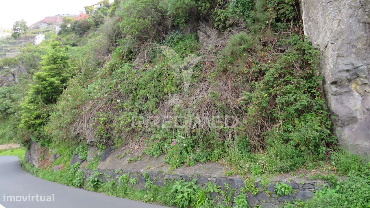 TERRENO  COM 2.387M2 NO ESTREITO DE CÂMARA DE LOBOS - Grande imagem: 4/8