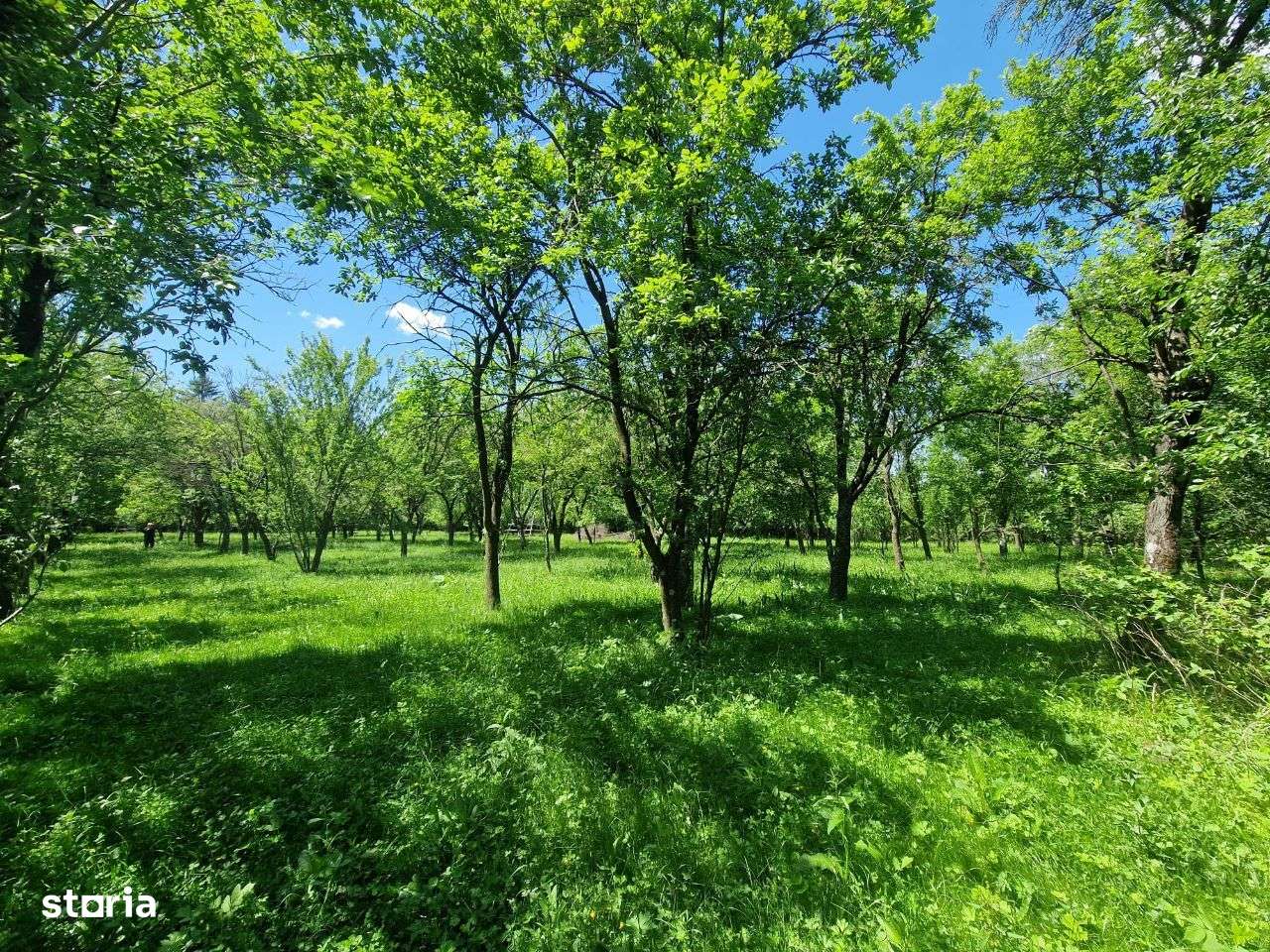 Teren intravilan Comarnic cartier Podul lung langa padure-8