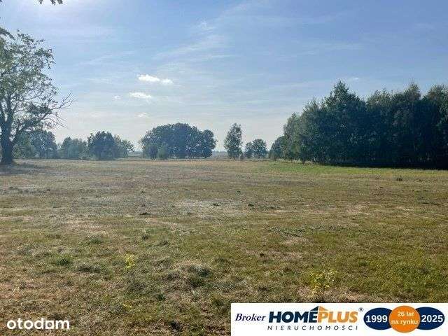 Działka 2,2 ha budowlano-rolna S8 25 km od Wawy - Pełny obrazek: 5/14