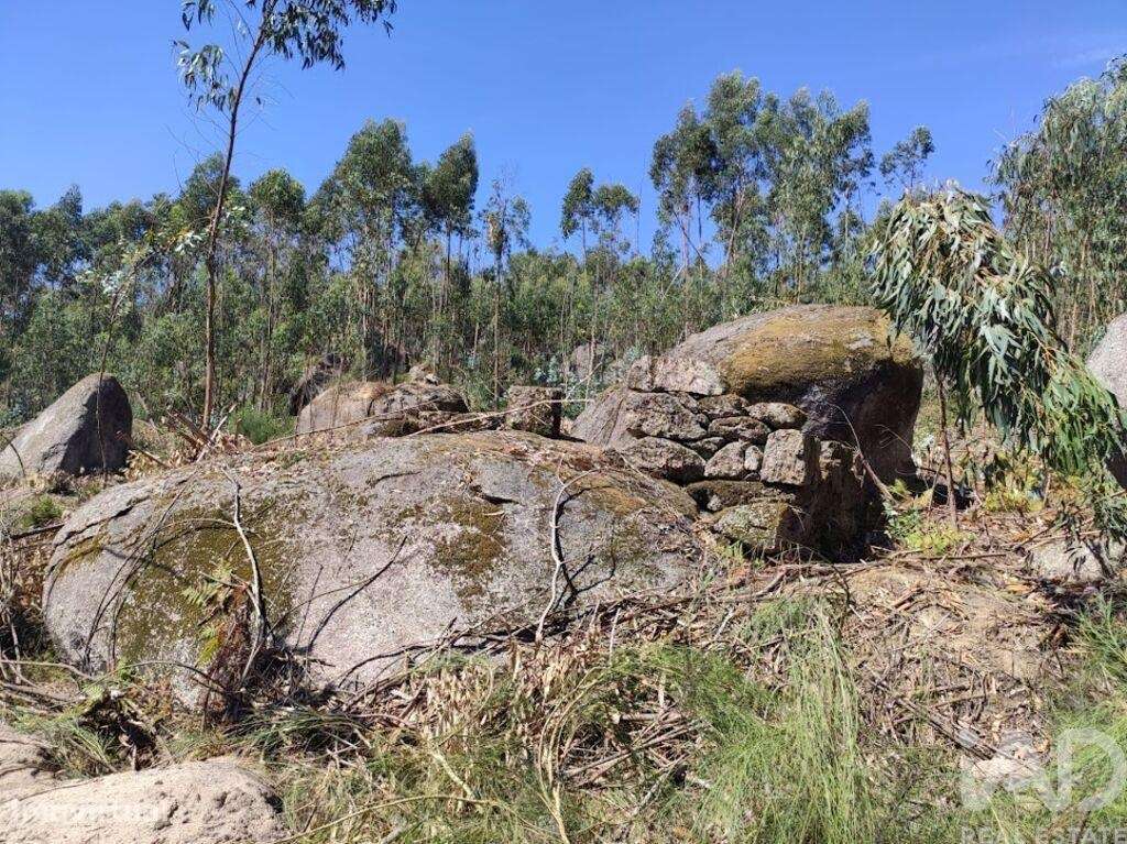 Quinta em Vila Boa de Quires e Maureles de 98,00 m2 - Grande imagem: 5/17