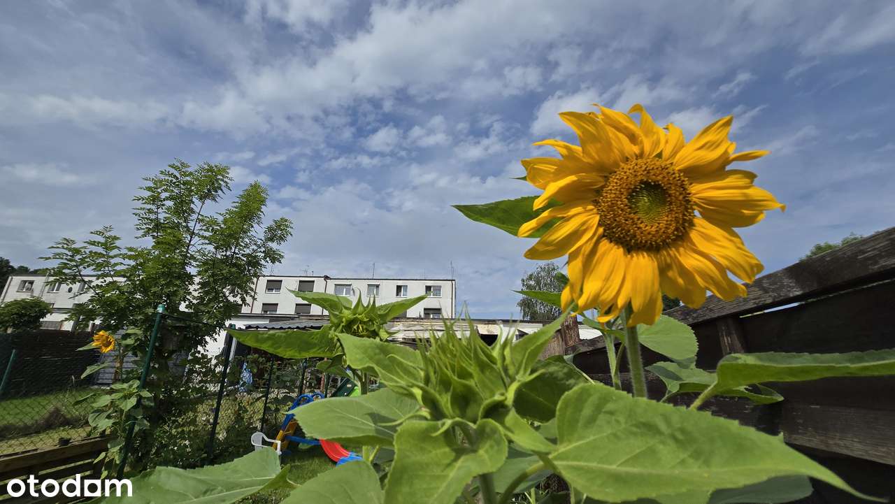 Nowoczesne 2-pokojowe, opcjonalnie garaż i ogródek-8