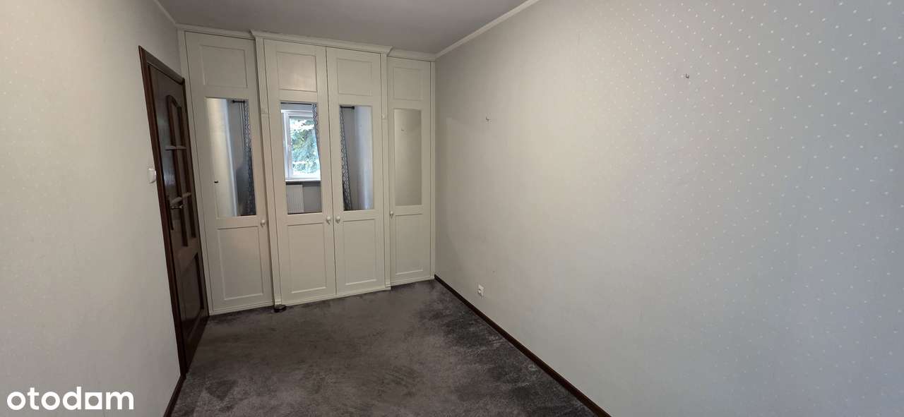 Przestronne 4-pok, Winogrady,-5