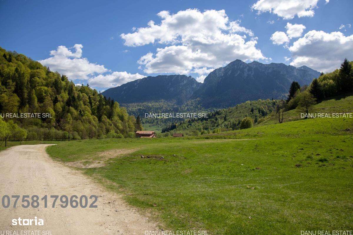 Zarnesti Barsa Fierului-Teren 1893mp-fantana si acces parau-comision0%-3