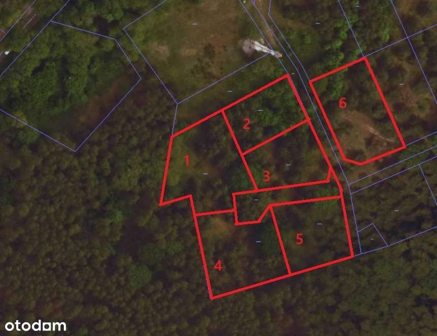 Działki w pobliżu Pałacu Bruhla w Brodach - Pełny obrazek: 5/7