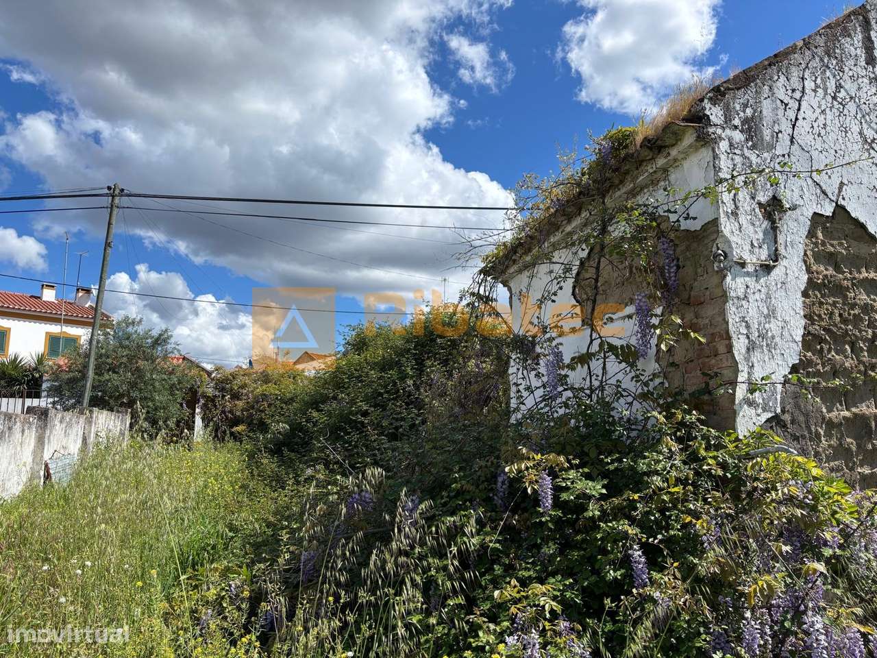Terreno  Venda em Coruche, Fajarda e Erra,Coruche-6