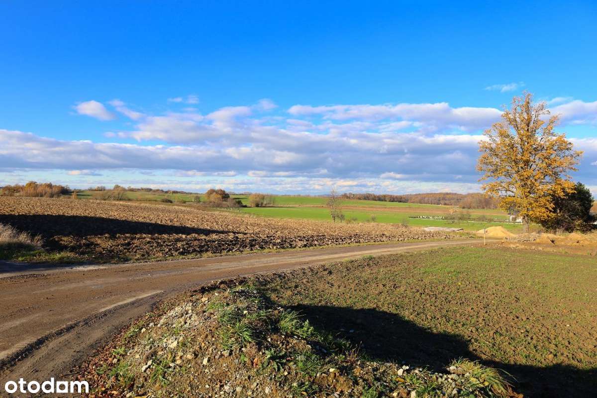 Duża Działka Budowlana w Atrakcyjnej Cenie! - Pełny obrazek: 5/10
