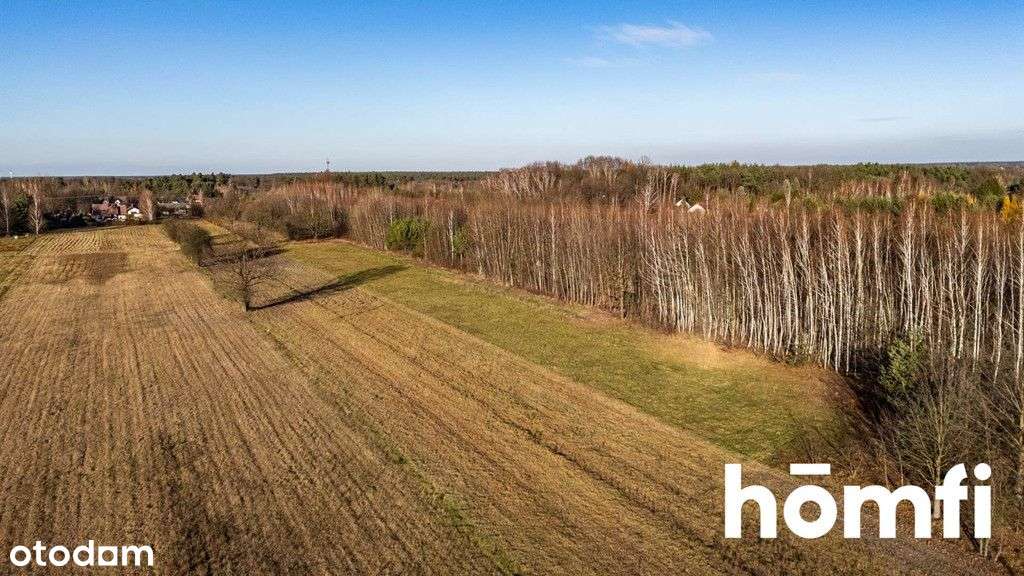 Działki w Dawidowie z Wz - otocz się ciszą - Pełny obrazek: 2/9