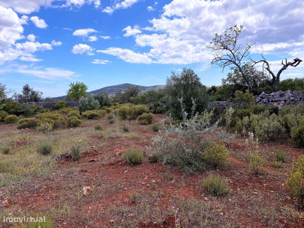 Terreno Rútico com vista Mar, Loulé, Algarve - Grande imagem: 3/13