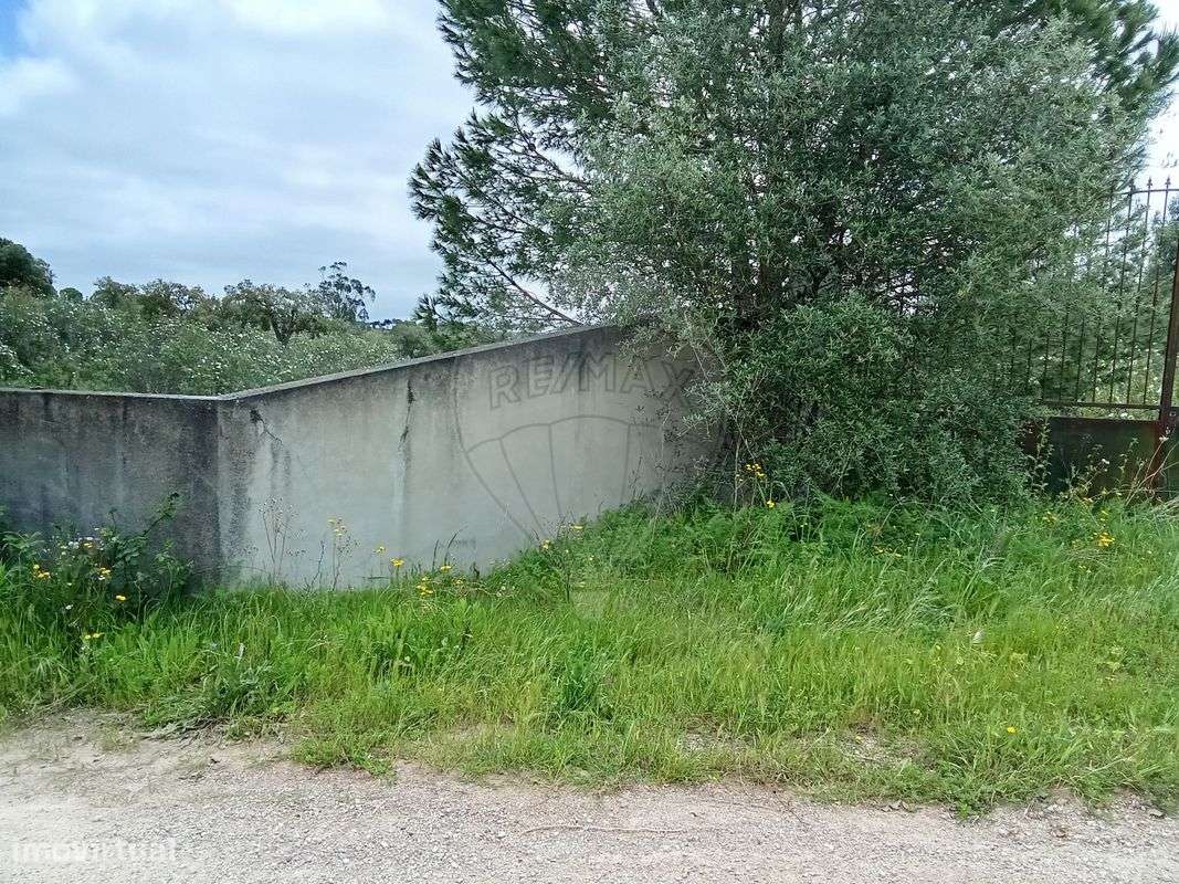 Quinta  para venda - Grande imagem: 5/12