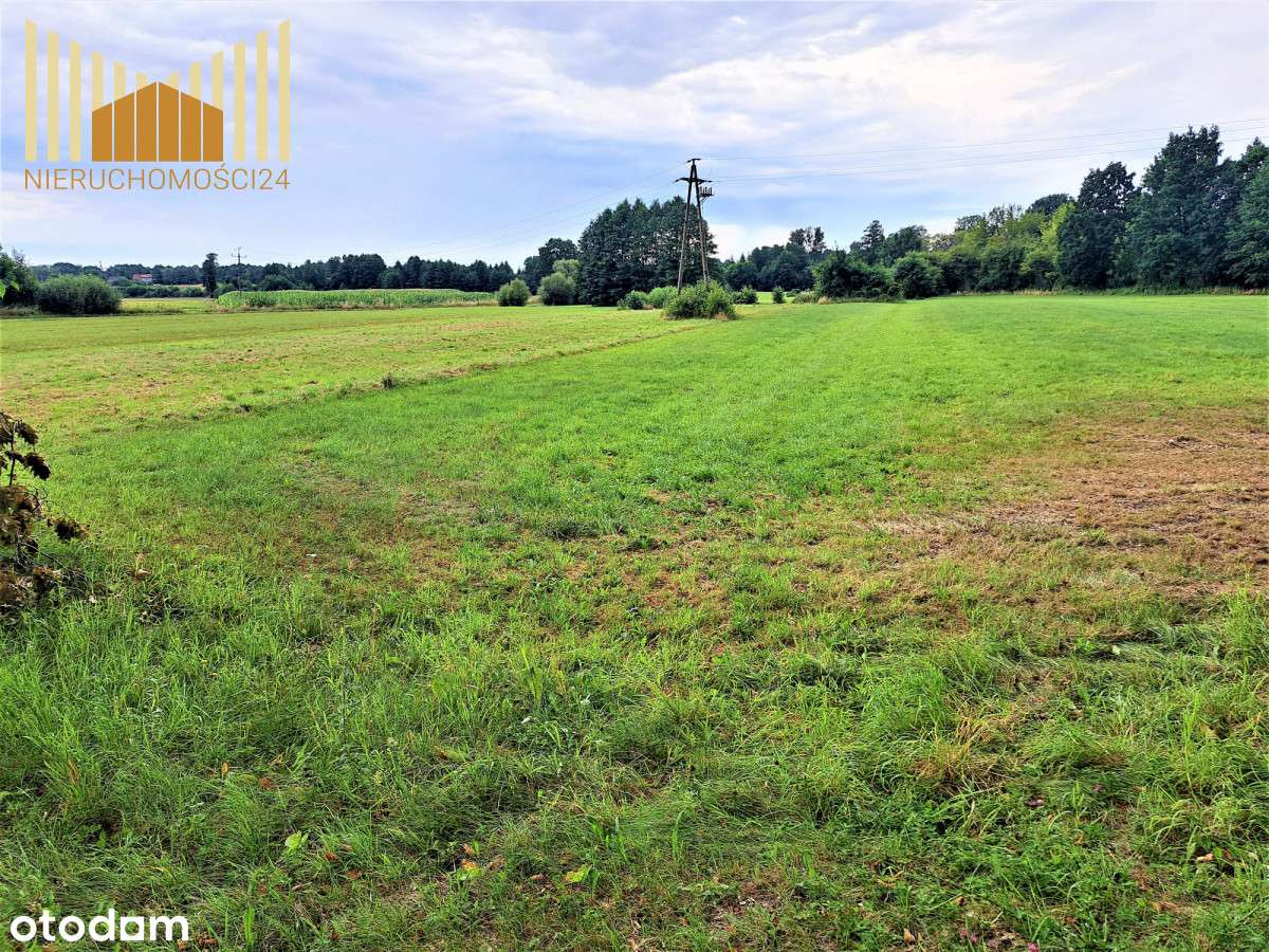 985177 - Pełny obrazek: 4/8