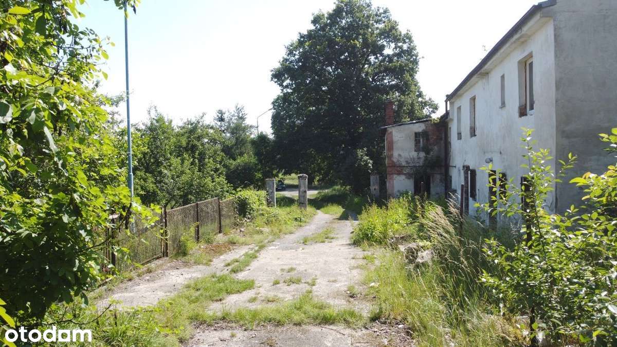 Nieruchomość z potencjałem - zabudowania/działka-0