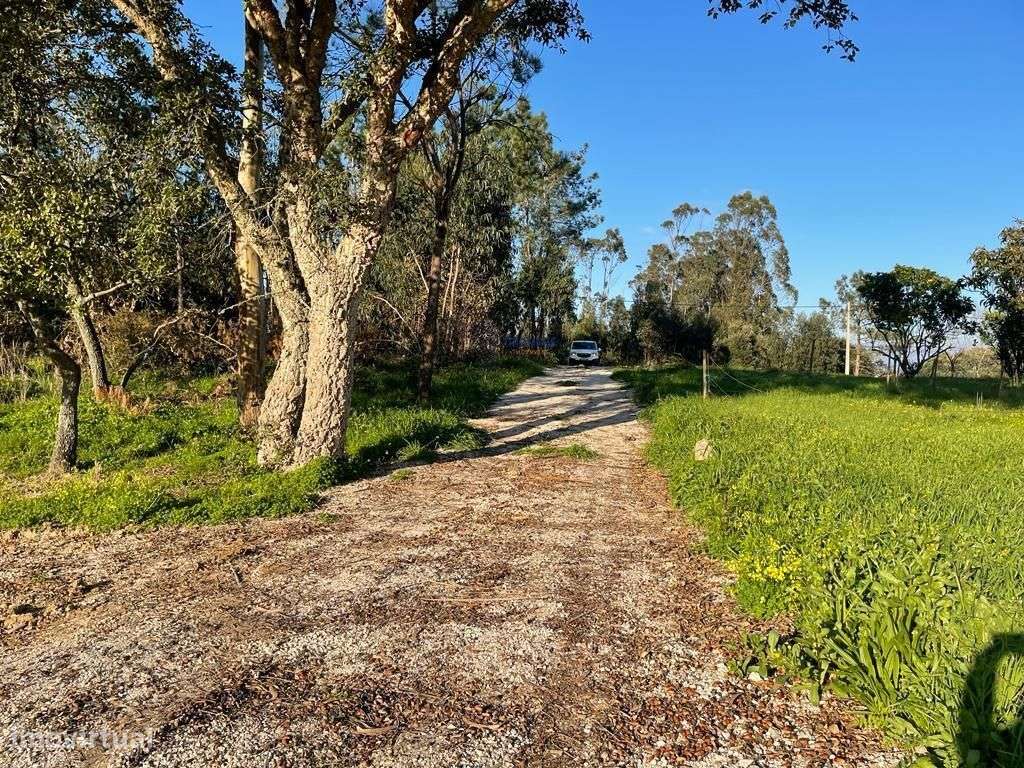 Terreno Viabilidade de Construção Moradia unifamiliar Alfeizerão - Grande imagem: 5/8