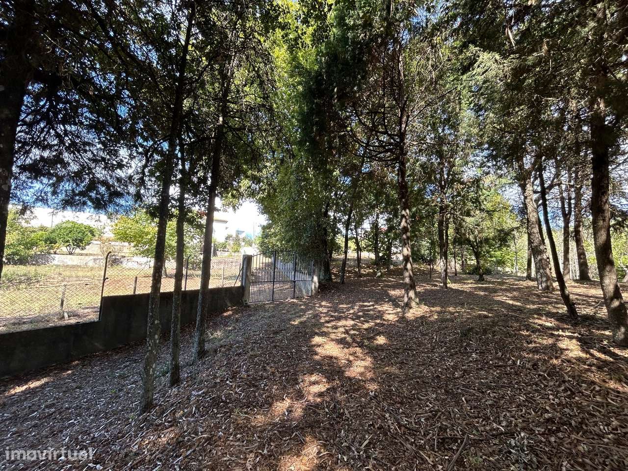 Quinta T6, Viseu, Santa Comba Dão, Santa Comba Dão e Couto do Mosteiro-53