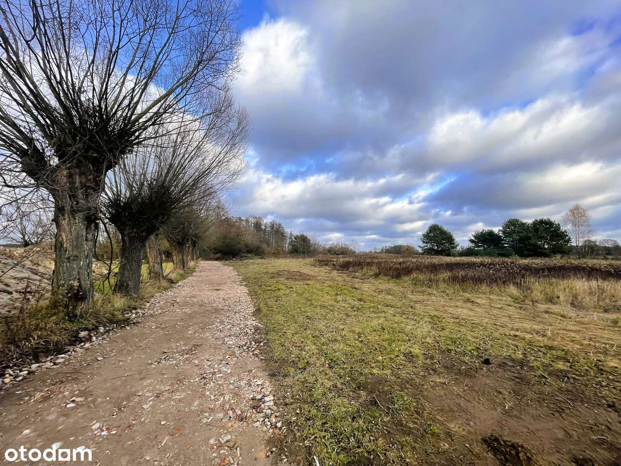 Działka rolna,5800m2,Nowe Gniewniewice,gm.Leoncin