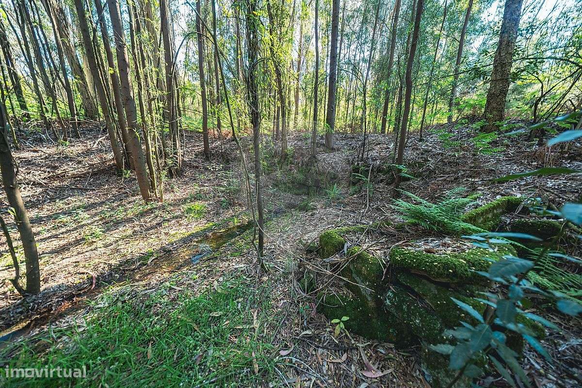 Moradia T4 para venda-19