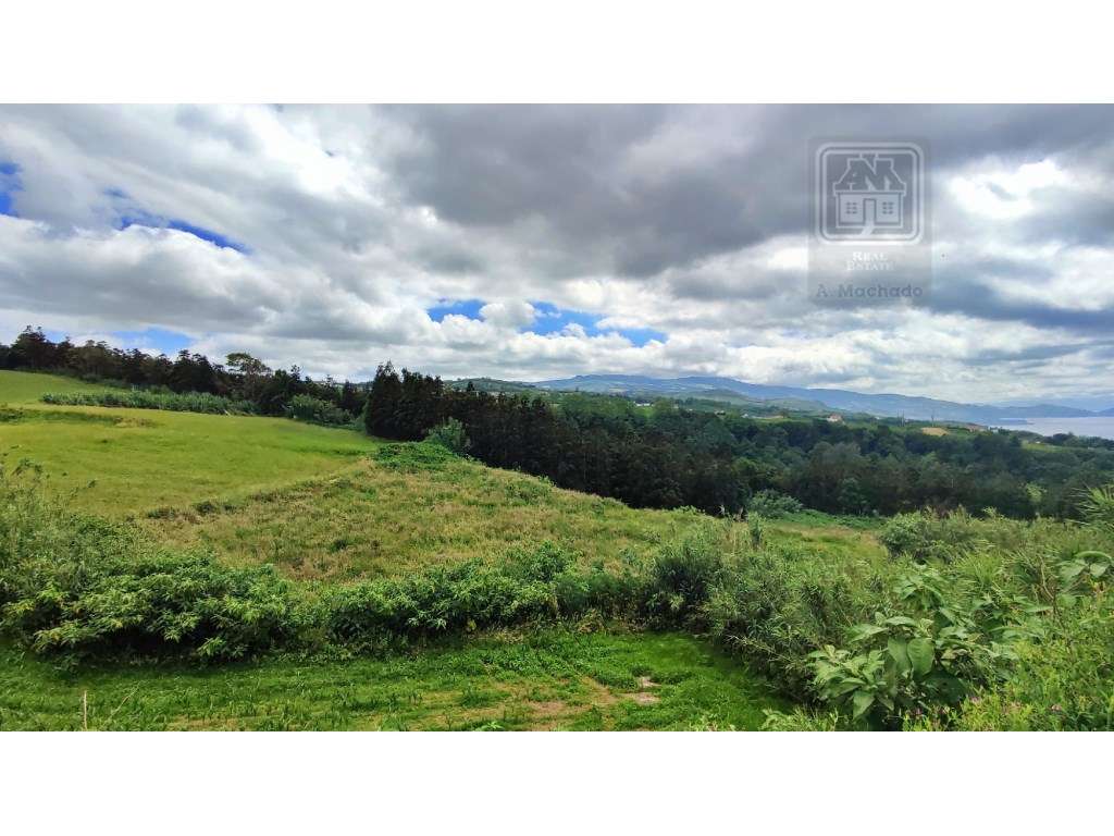 VENDA de TERRENO RÚSTICO - Pastagem e Mata - Ribeira Funda, Fenais ... - Grande imagem: 4/15