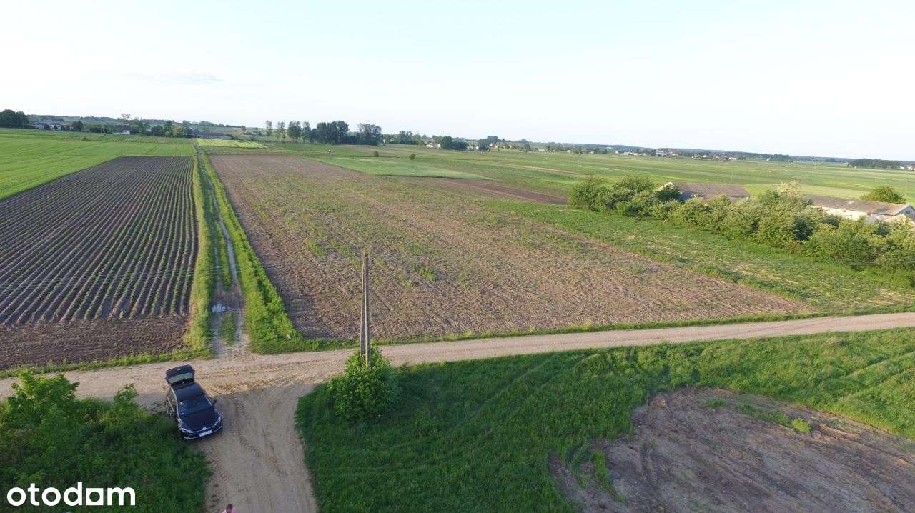 Działka budowlana Januszewo 1200m2 - Pełny obrazek: 4/10