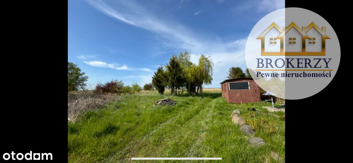 Działka z linią brzegową - Pełny obrazek: 2/3