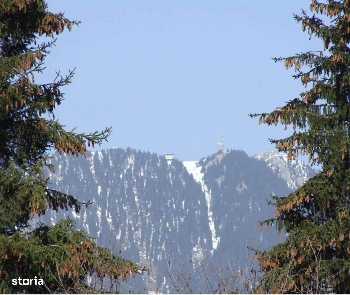 Teren Cioplea Predeal - Imagine principală: 4/6