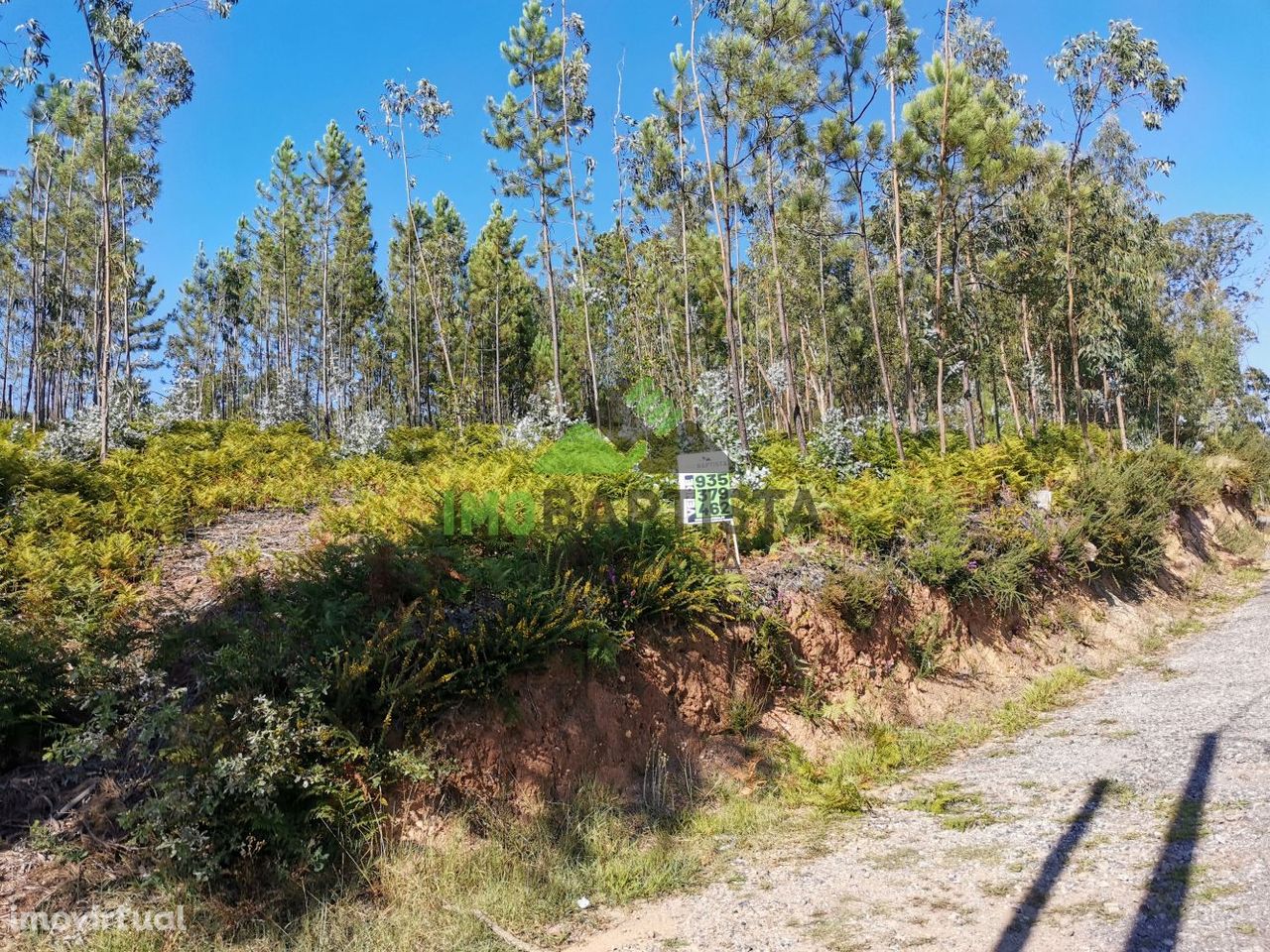 Terreno de construção em Canedo com 7000 m2