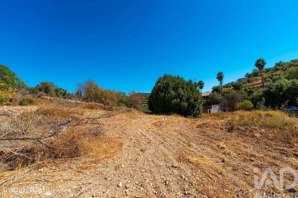 Casa tradicional T4 em Conceição e Estoi de 196,00 m2 - Grande imagem: 4/29