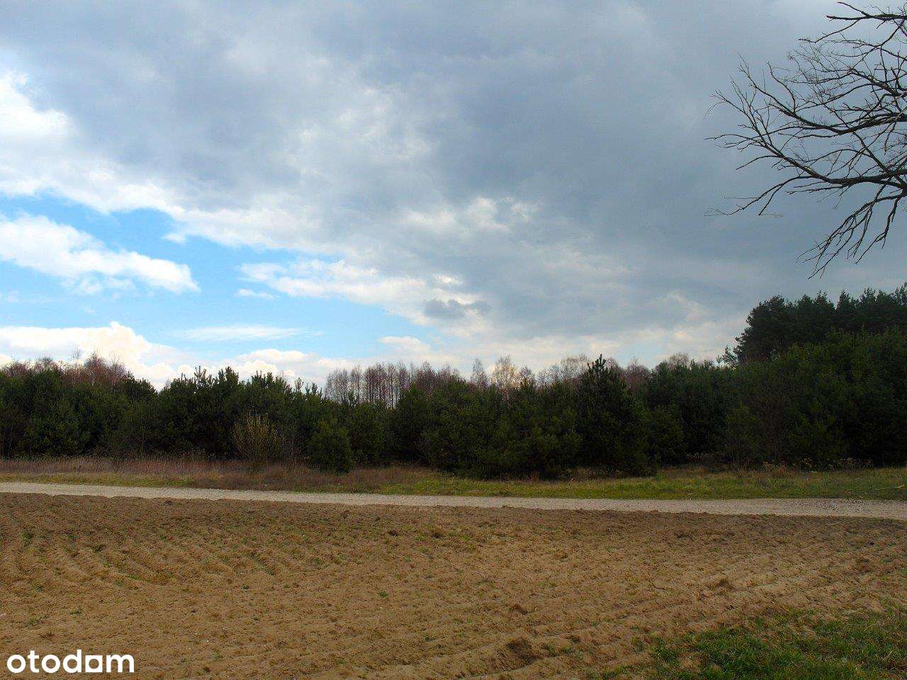 Działki w Nowym Grabiu - Pełny obrazek: 4/8