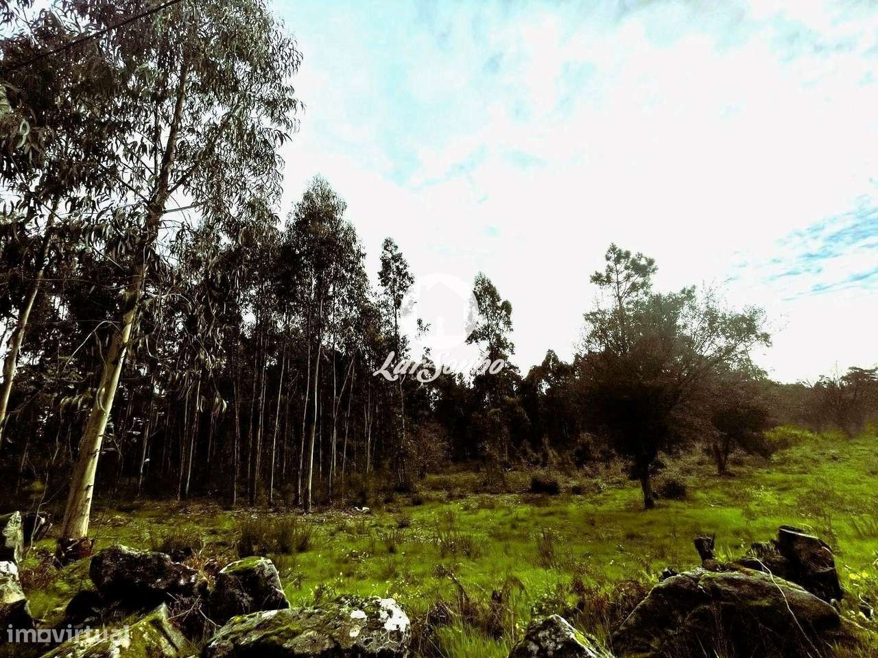 Terreno para construção em Barcelos - Grande imagem: 4/23