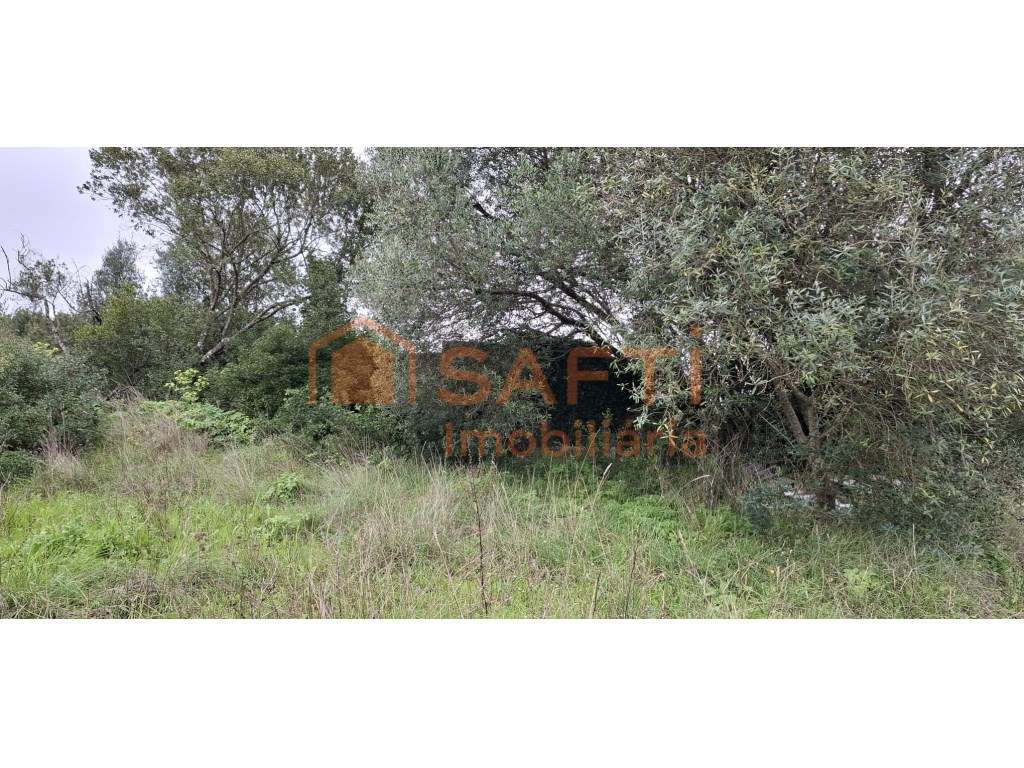 Terreno Misto com possibilidade de construção - Grande imagem: 4/6