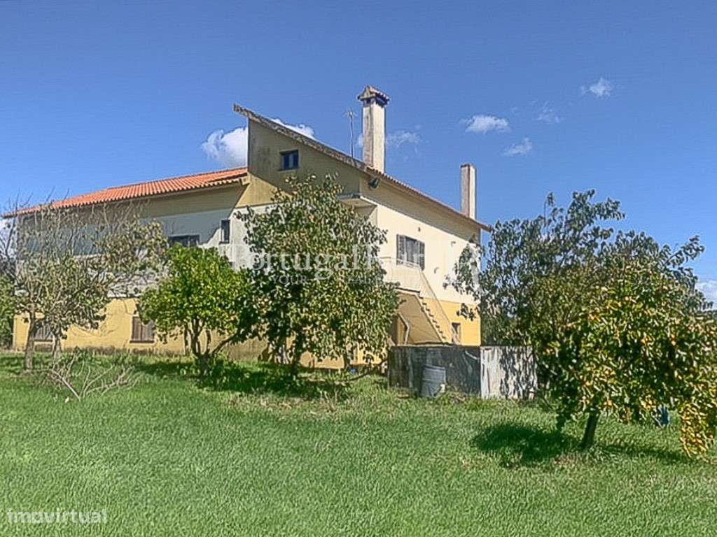 Encantadora Quinta em Alcanena com Moradia e Potencial Agrícola - Grande imagem: 2/29