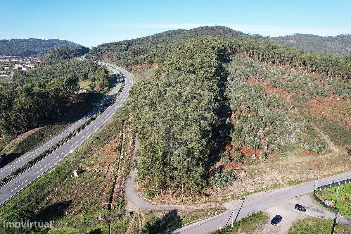 Terreno  para venda - Grande imagem: 4/4