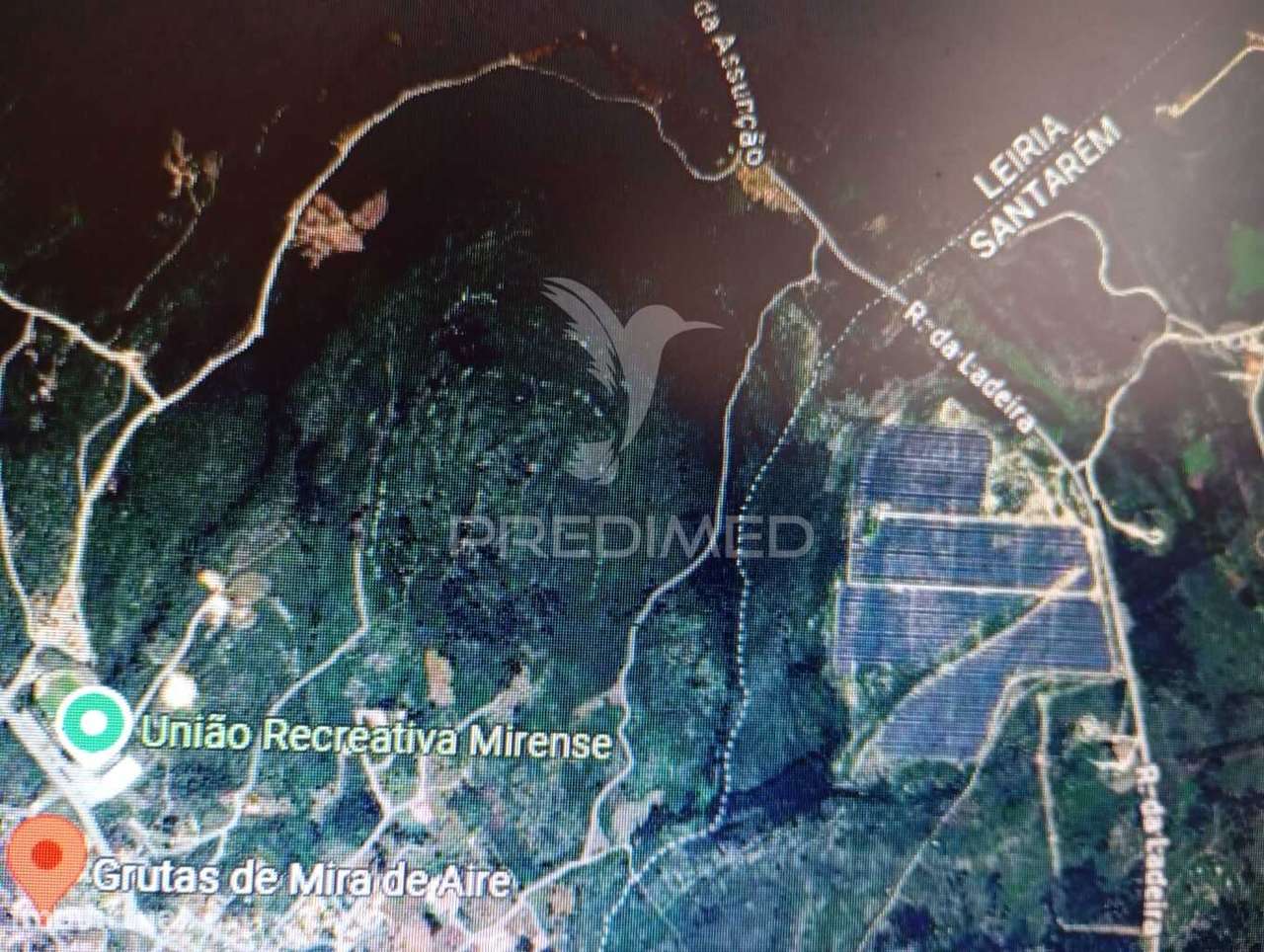 Terreno Rústico em Minde Alcanena zona de ventoinhas - Grande imagem: 3/5