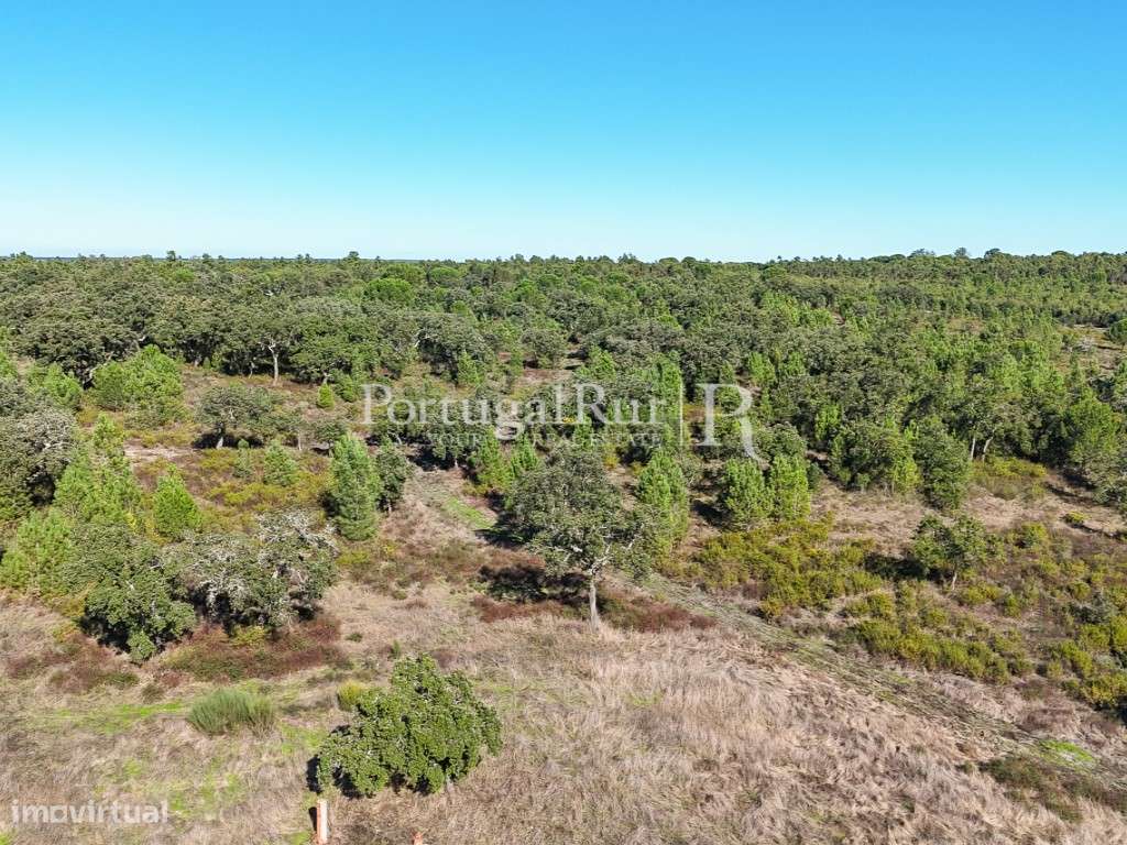 Quinta de 20ha com projeto para Turismo Rural a 1h de Lisboa-45