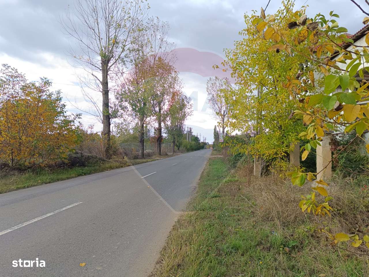 Teren 2,056mp Ciolpani - Imagine principală: 2/11