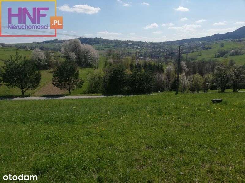 Działka w Krużlowej Wyżnej 16,13ar - Pełny obrazek: 5/9