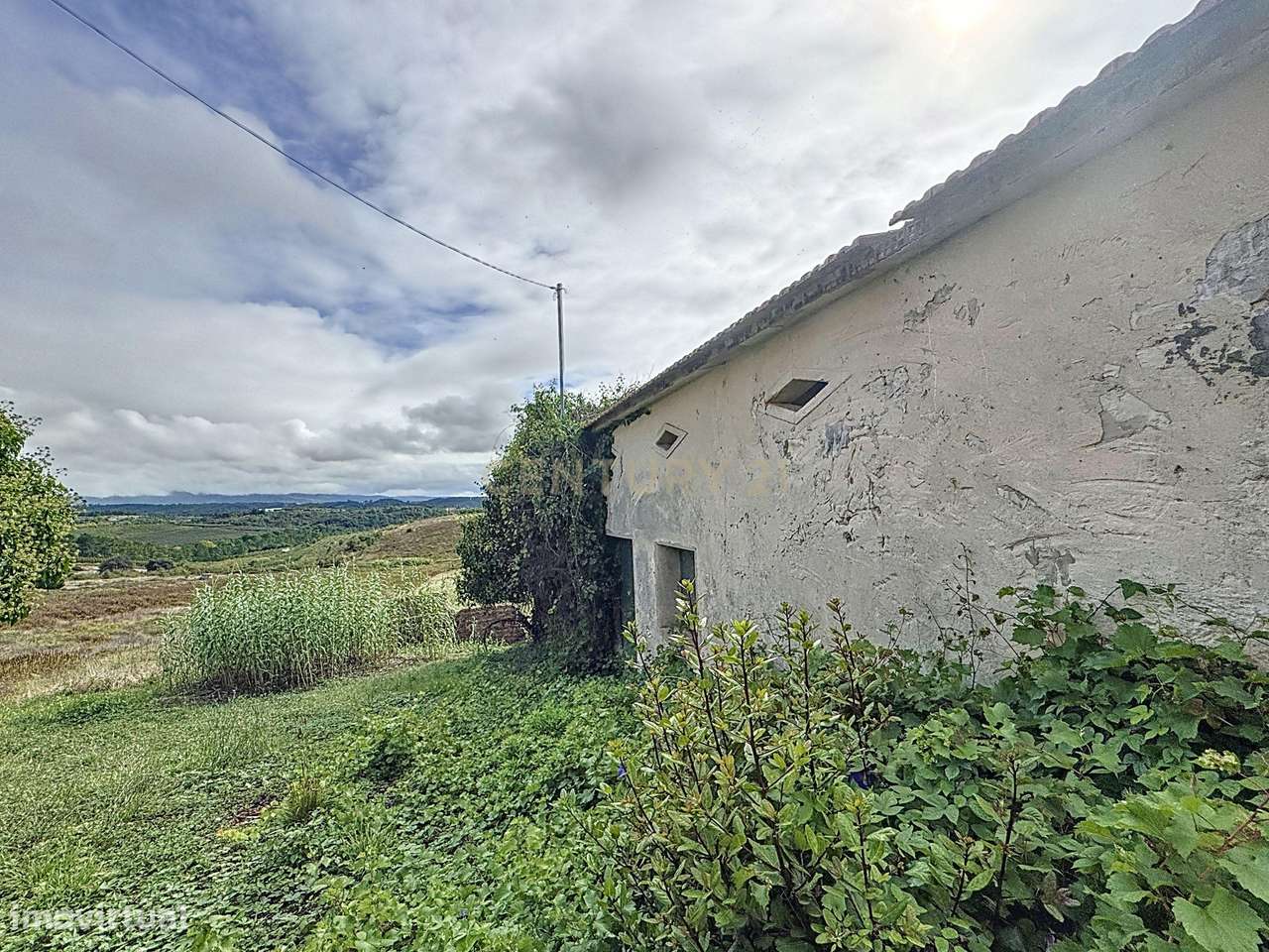 Terreno - Adega - Para Restaurar -  Montes - Quinta - Alcobaça - Grande imagem: 5/10